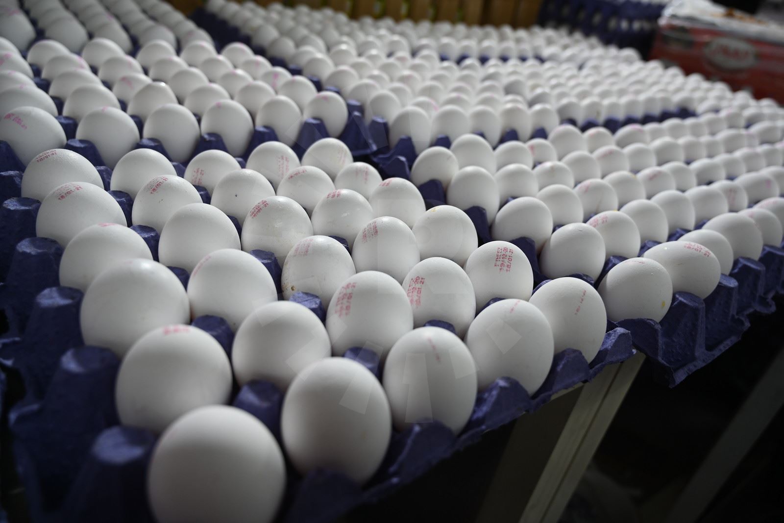 ئەم هەفتەیە هێلکەکەی مانگی رەمەزان دەگاتە هەرێمی کوردستان