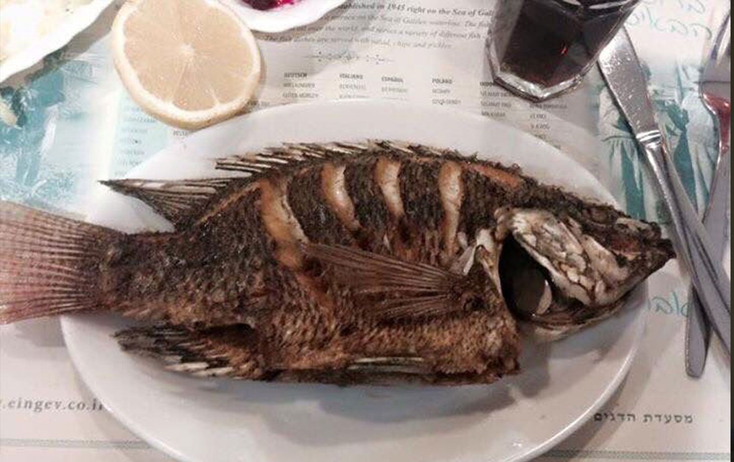 Gerçeğinden ayırt edilemiyor: 3D yazıcısıyla balık üretildi