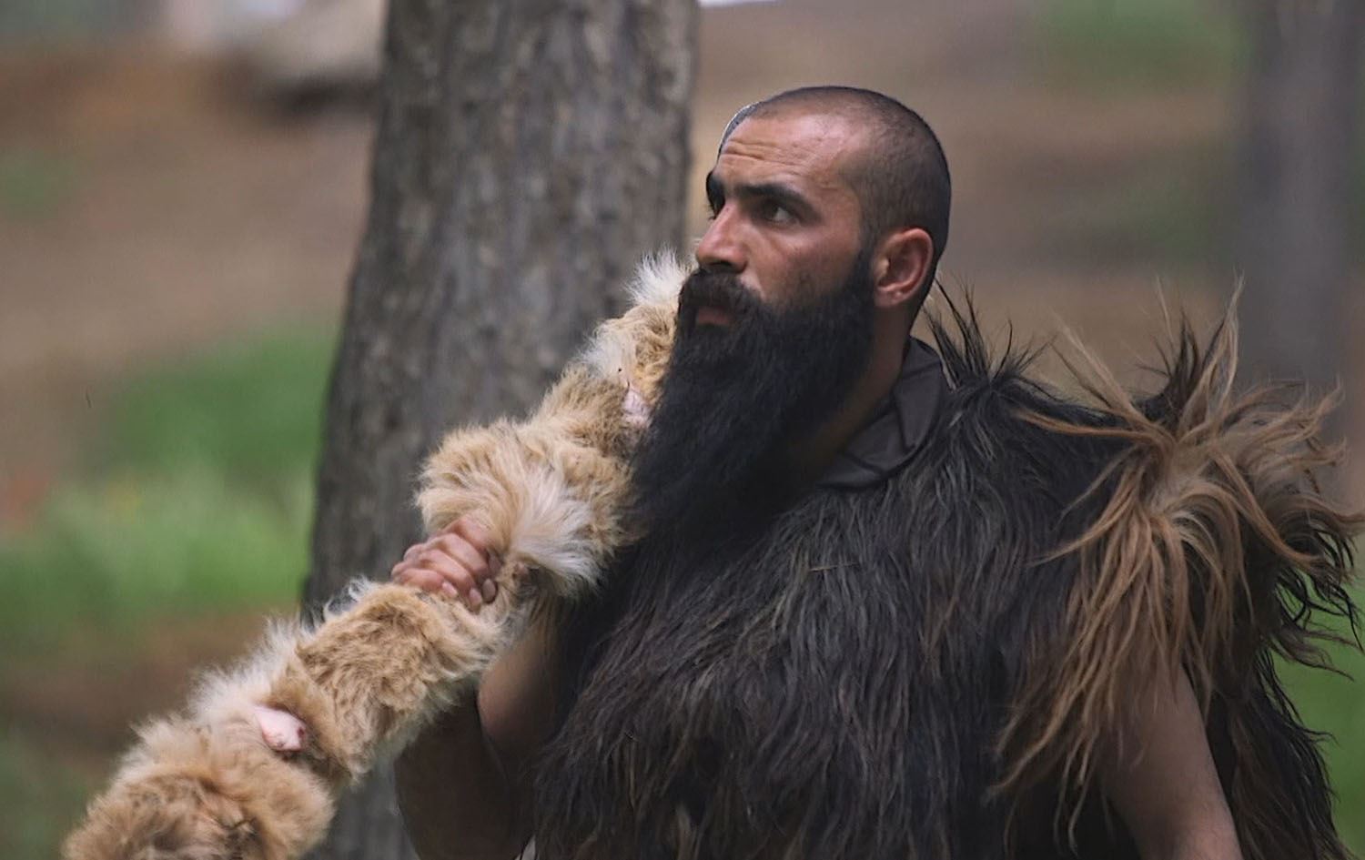 لە ئاکرێ گەنجێک پێنج ساڵە لە دارستاندا دەژی و گۆشت بە خاوی دەخوات؛ تەنیا بۆ خەوتن دەگەڕێتەوە