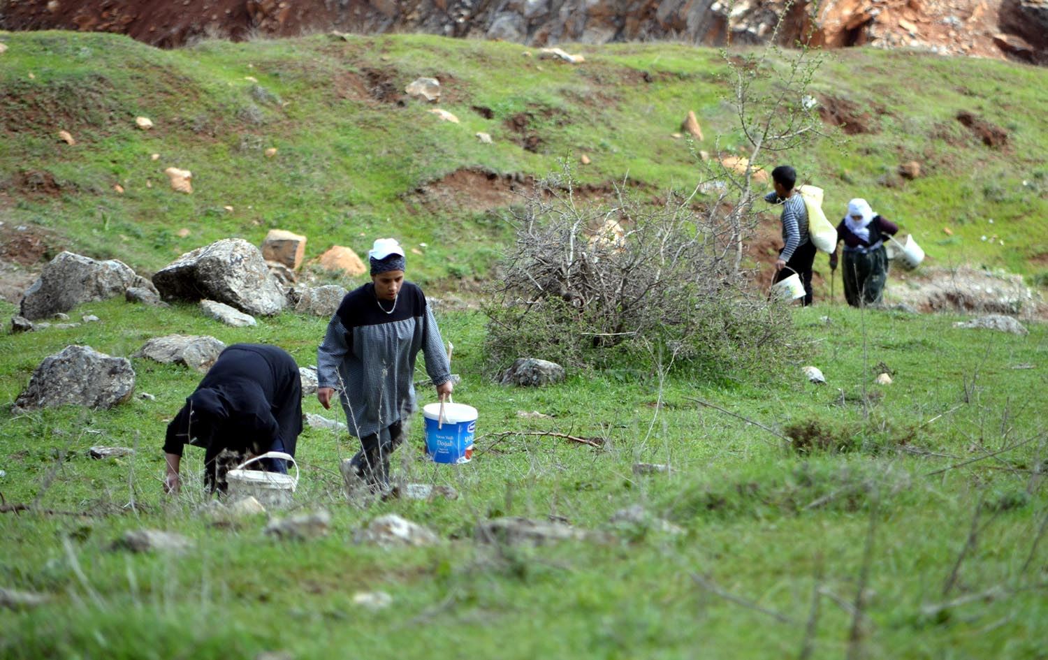 Jinên Mûşê kerengan kom dikin