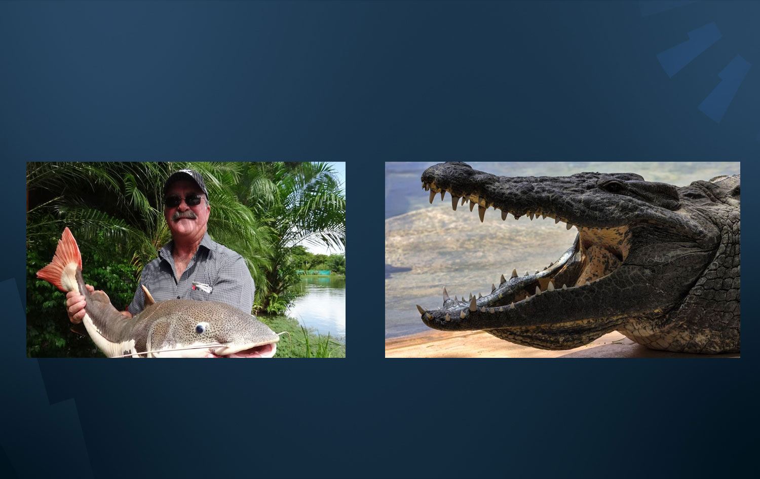 Kaybolan balıkçının cesedi timsahın karnında bulundu!