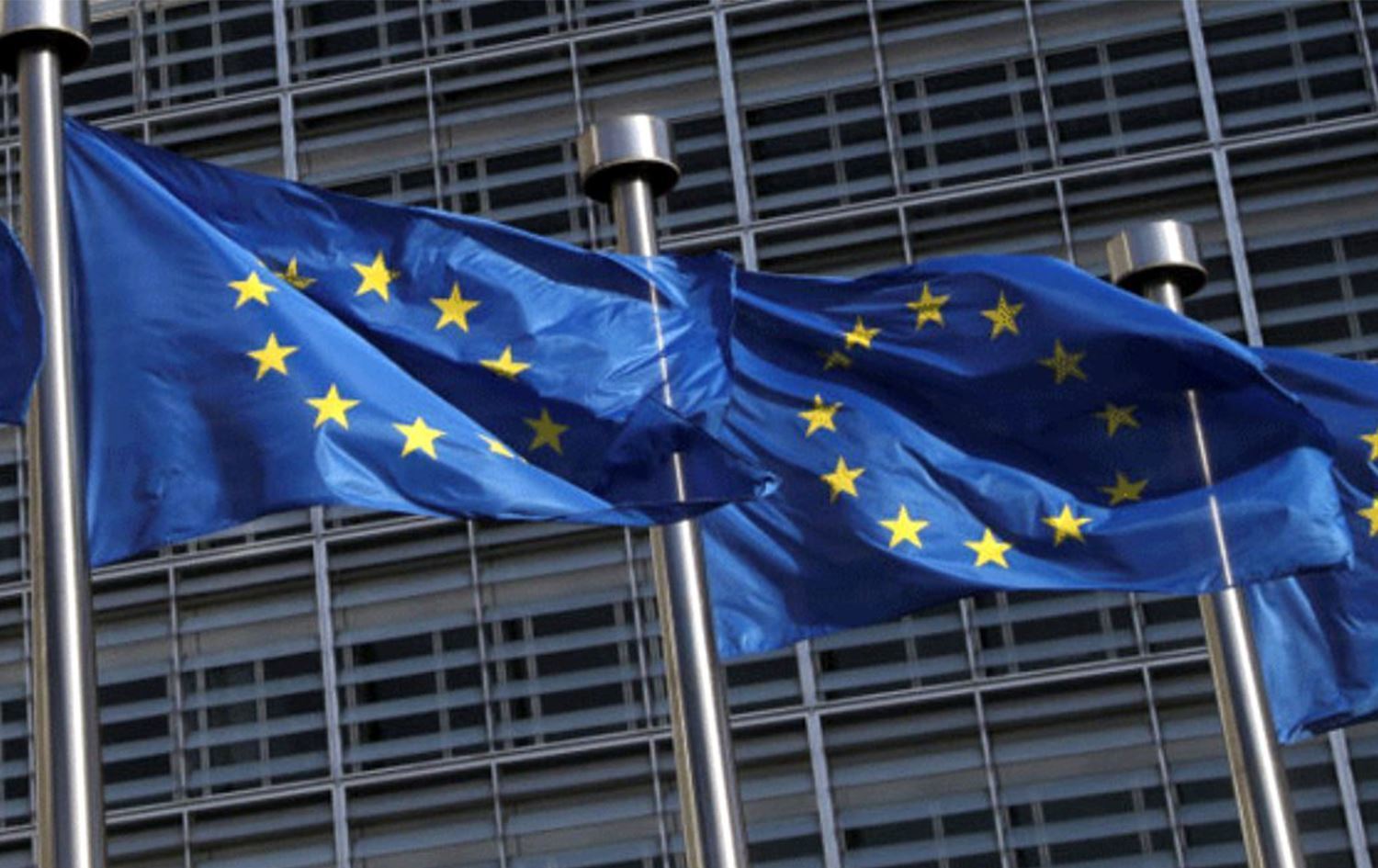 Avrupa Konseyi seçimler için Türkiye'ye 33 kişilik heyet gönderiyor