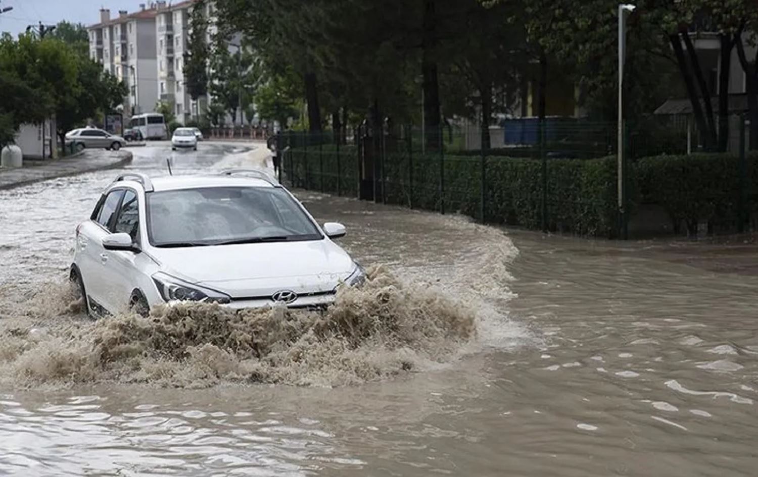 Saziya Keşnasiyê ya Tirkiyê hişyariya lehiyê da