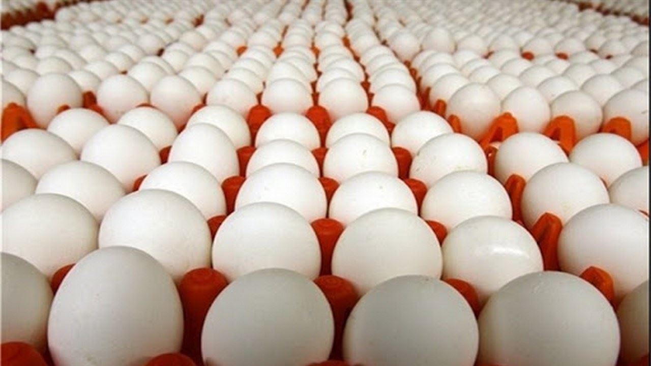 دابەشکردنی "هێلکەی رەمەزان" لە سلێمانی دەستیپێکرد