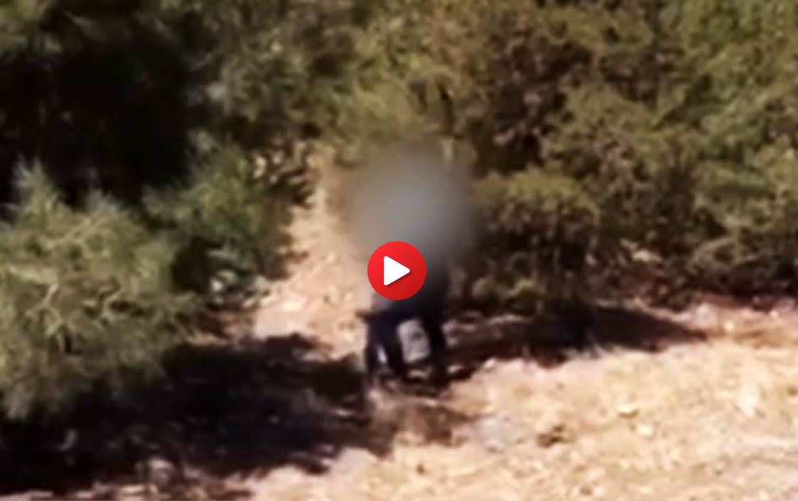 Genç kadına silah zoruyla tacizde bulunan şahıslar gözaltına alındı