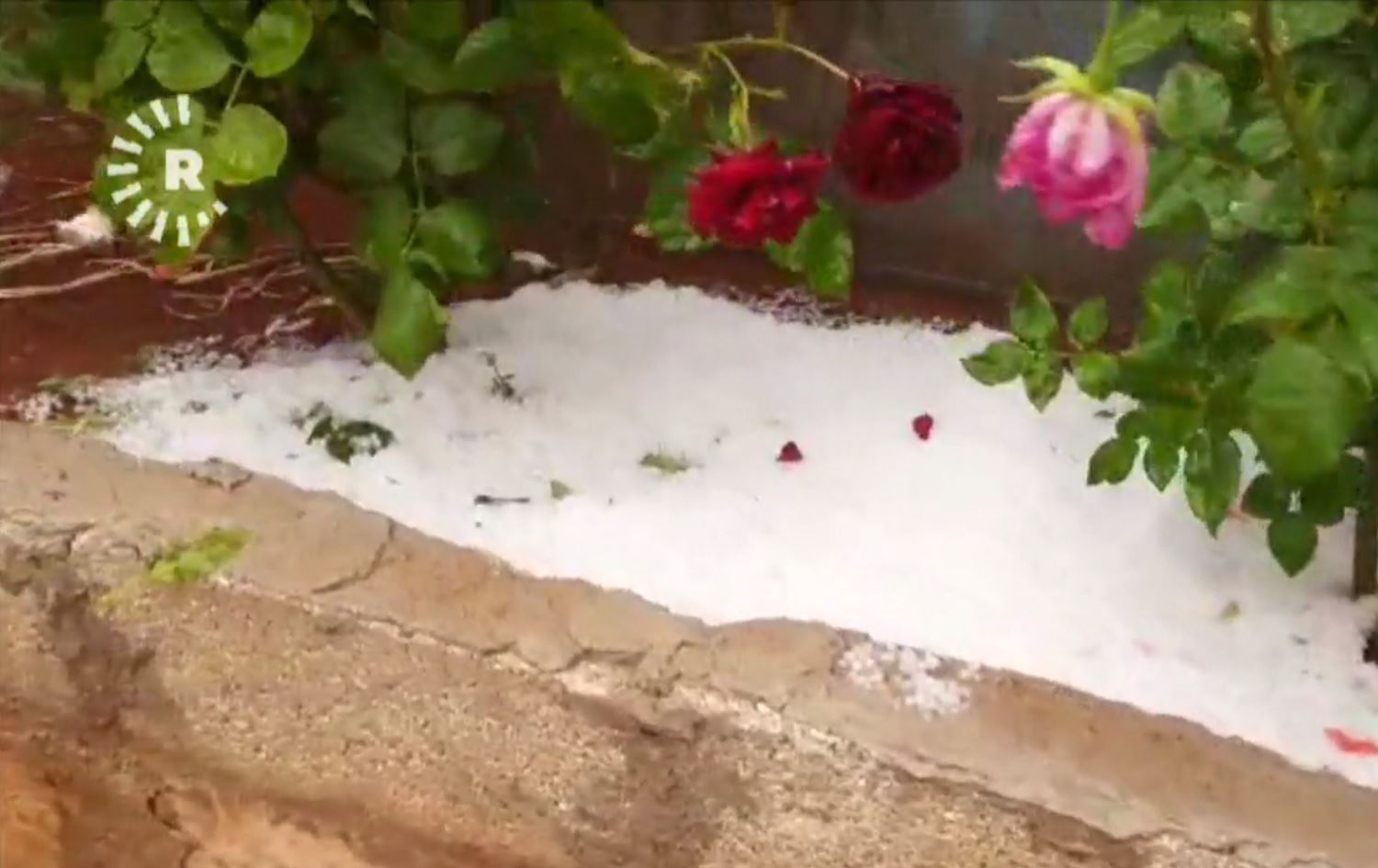 Li navçeya Şehbayê zîpik barî