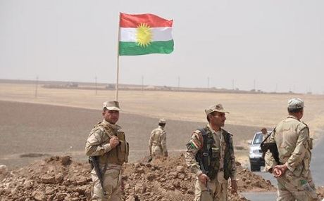 Bi sedan Kurdên Ewropayê tevlî refên Pêşmerge yan YPGê dibin