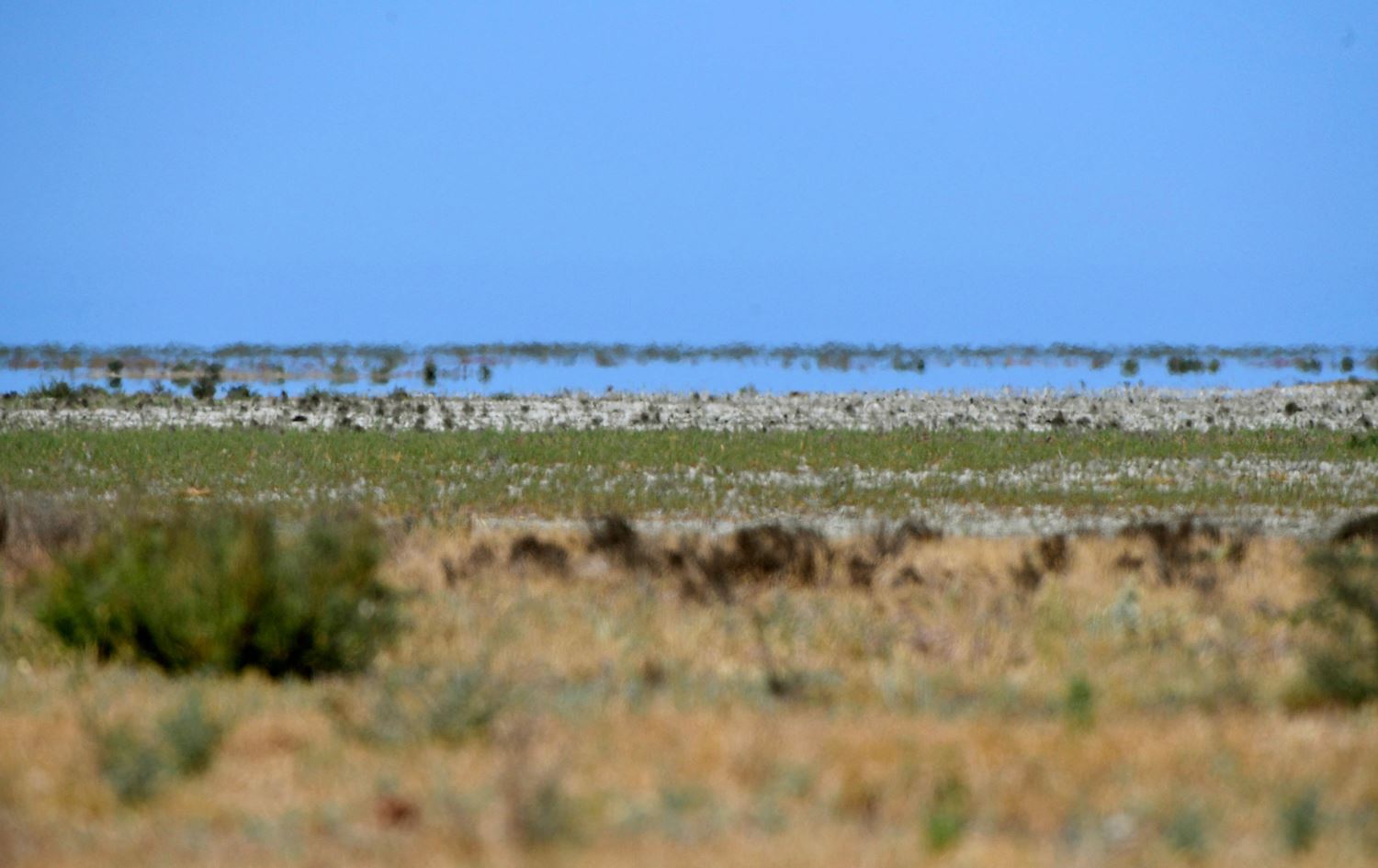 ئیسپانیا 2.2 ملیار یۆرۆ بۆ بەرەنگاربوونەوەی وشکەساڵی تەرخاندەکات