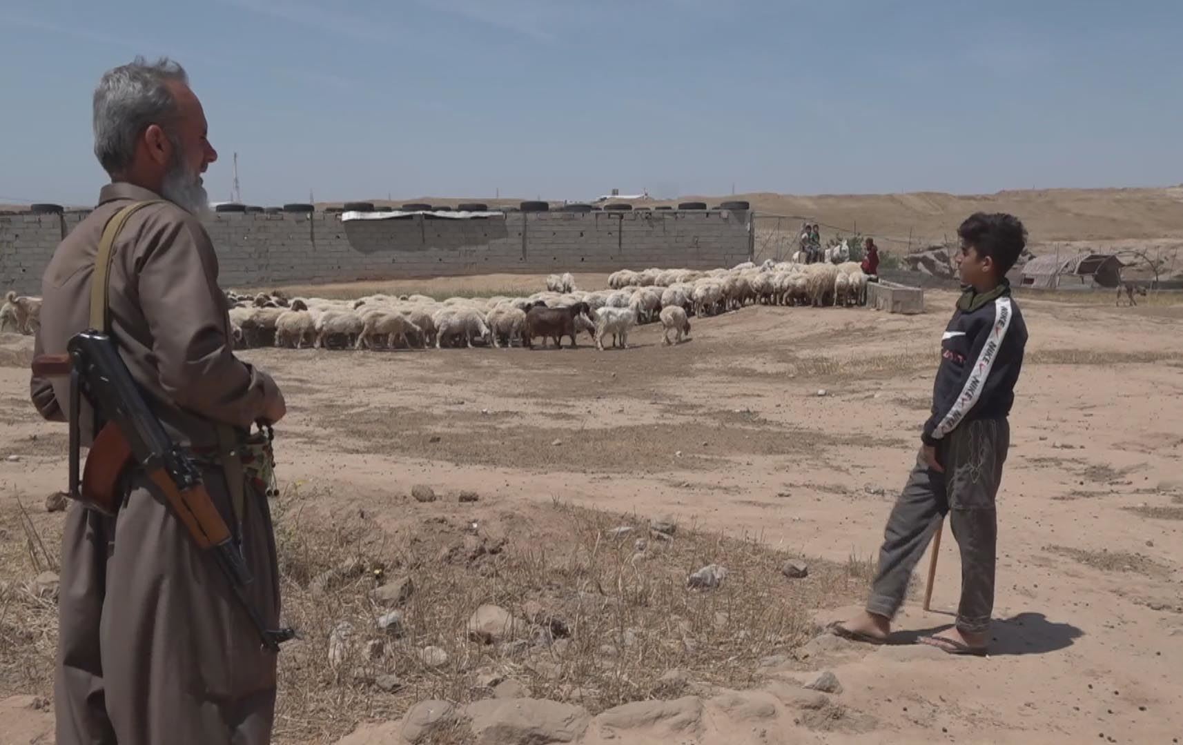 گرووپێکی 'داعش' لە سنووری کەرکووک سەرانە لە ئاژەڵدار و دانیشتووانی گوندێک وەردەگرن