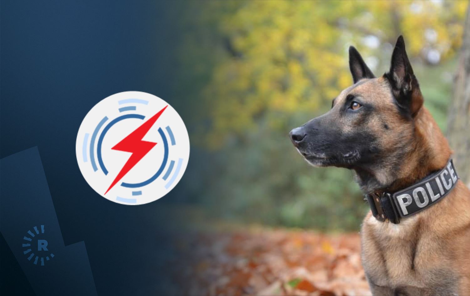 وەزارەتی کارەبای عێراق بە بەهای 111 ملیۆن دینار سەگ دەکڕێت