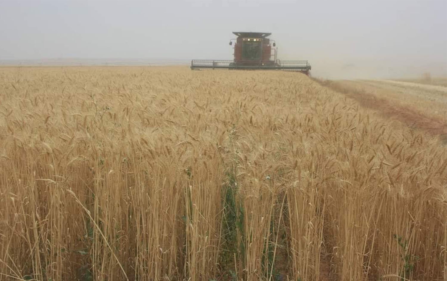 Rêveberiya Xweser îsal Ceh ji cotkaran nakire