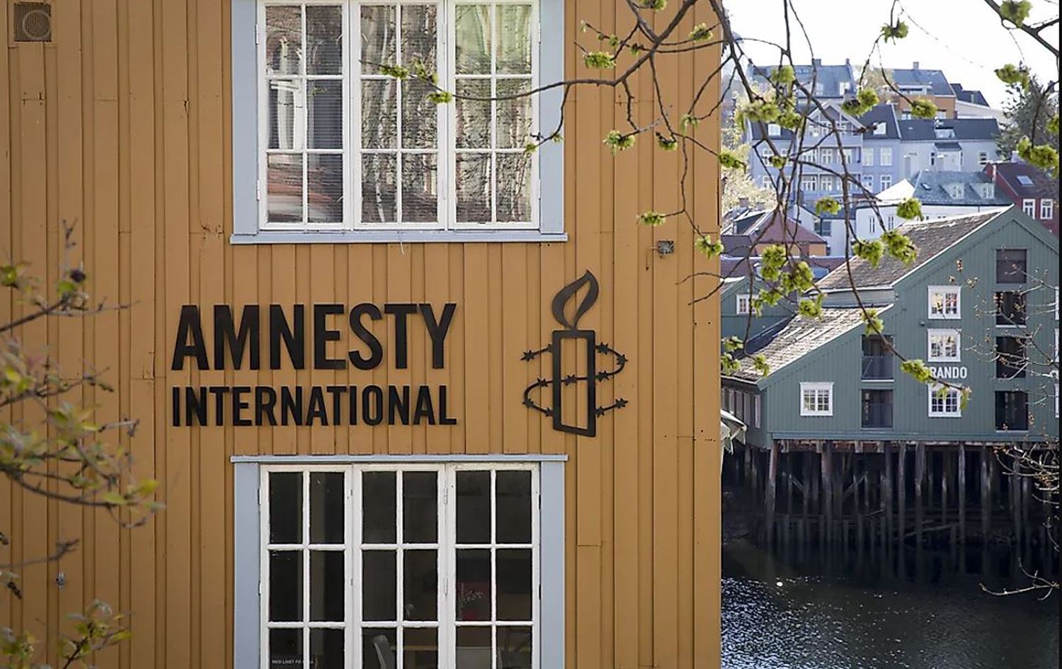 ئەمنیستی ئینتەرناشناڵ: لەسێدارەدان لە جیهاندا بەڕێژەی 53٪ زیادی کردووە