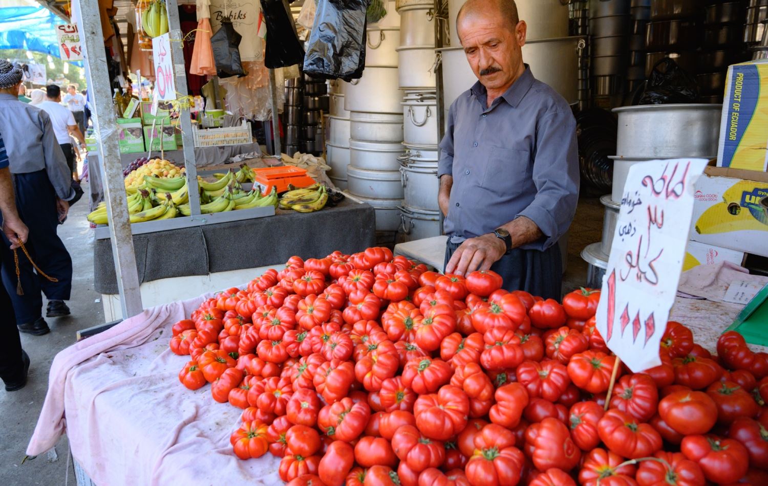 باج لەسەر هاوردەکردنی تەماتە بۆ هەرێمی کوردستان زیادکرا