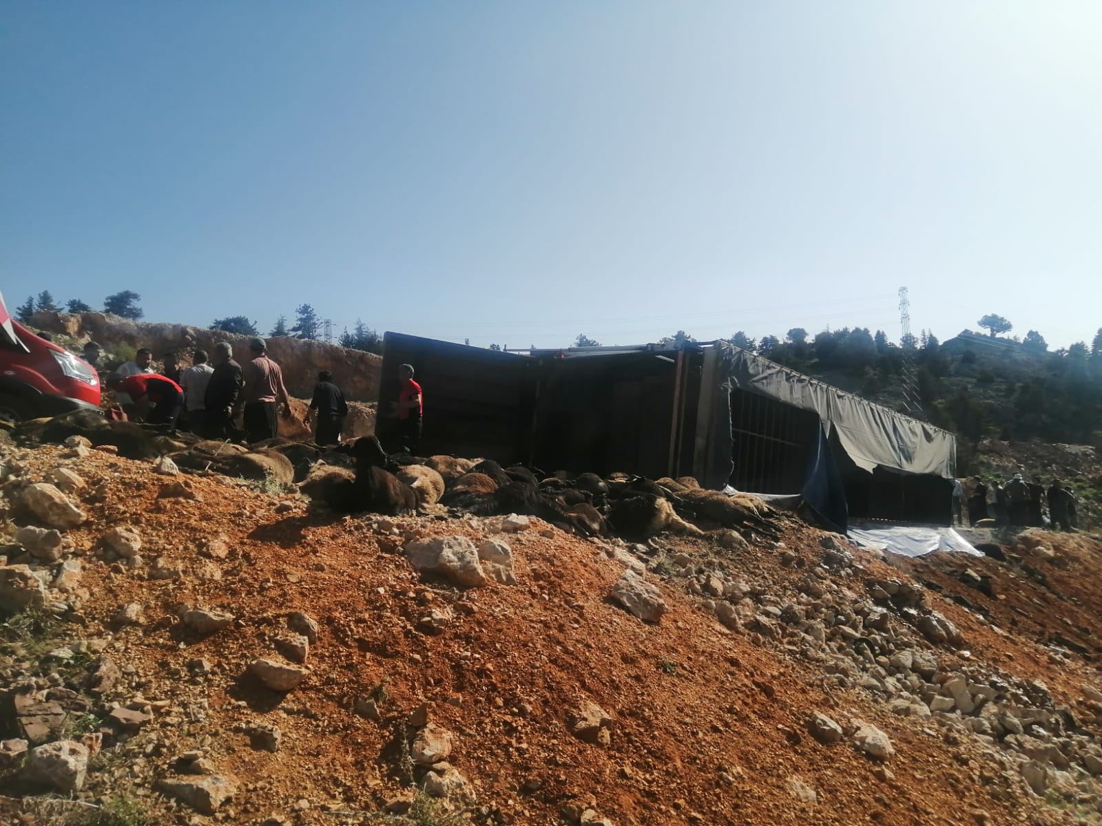 Barhilgir wergeriya; 60 serî pez mirar bûn