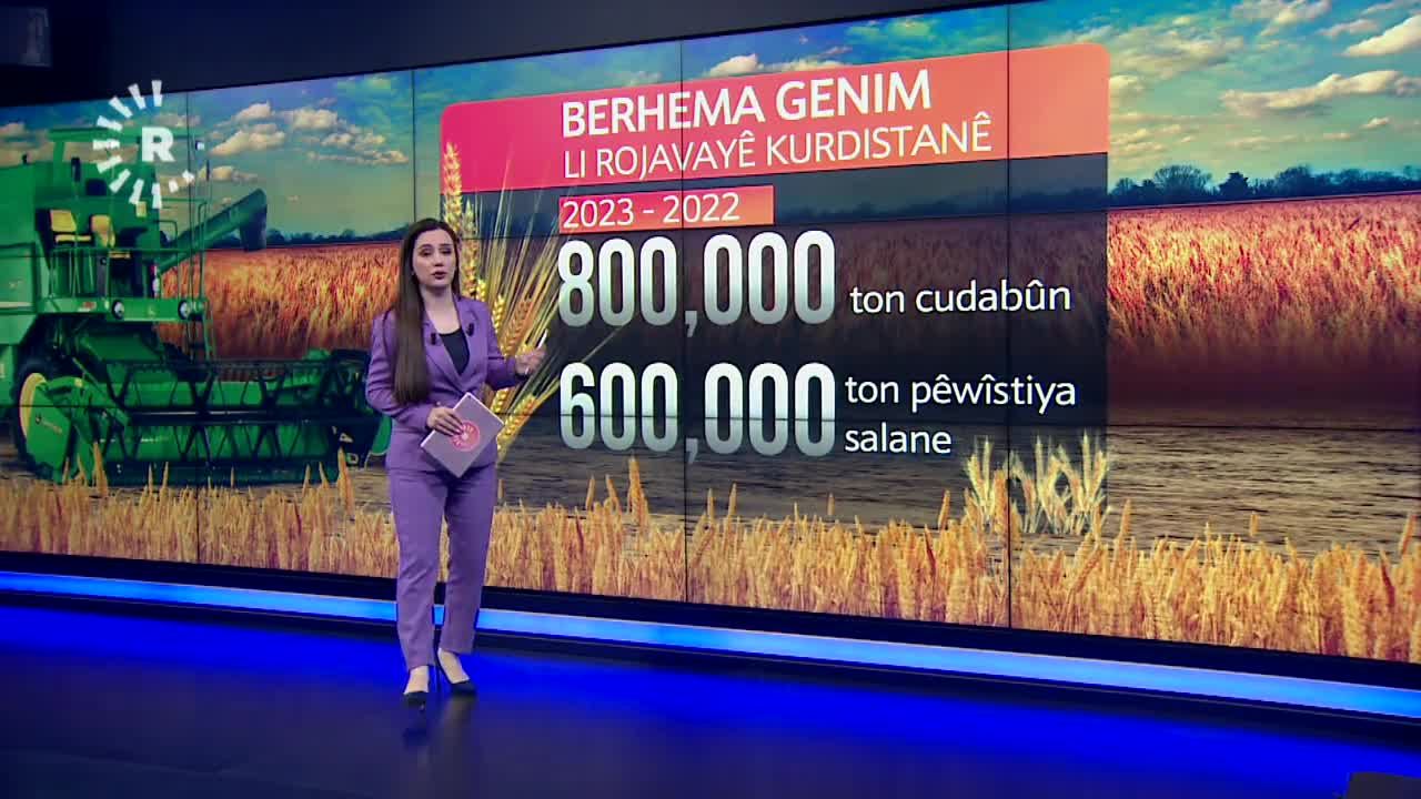 Berhema genim li navçeyên Rêveberiya Xweser