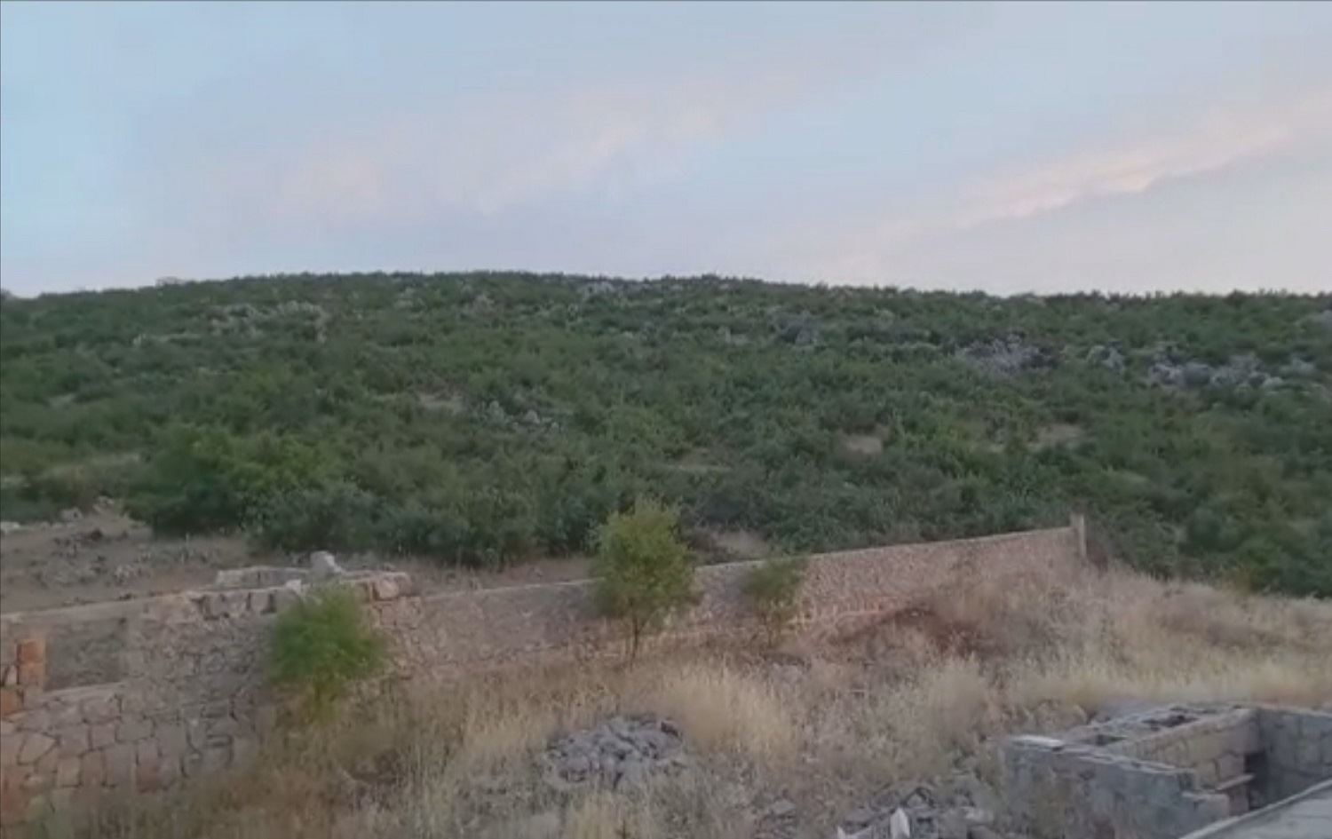 Li Racoyê fermandarekî Feyleq el Şamê dest daniye ser 350 darên zeytûnan