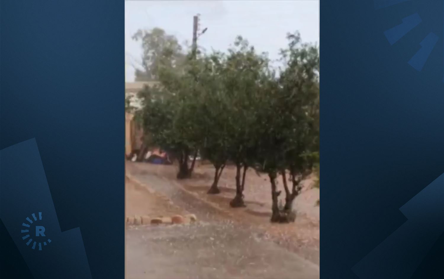 Li Rojavayê Kurdistanê baran û zîpikê zirar gihand çandiniyê