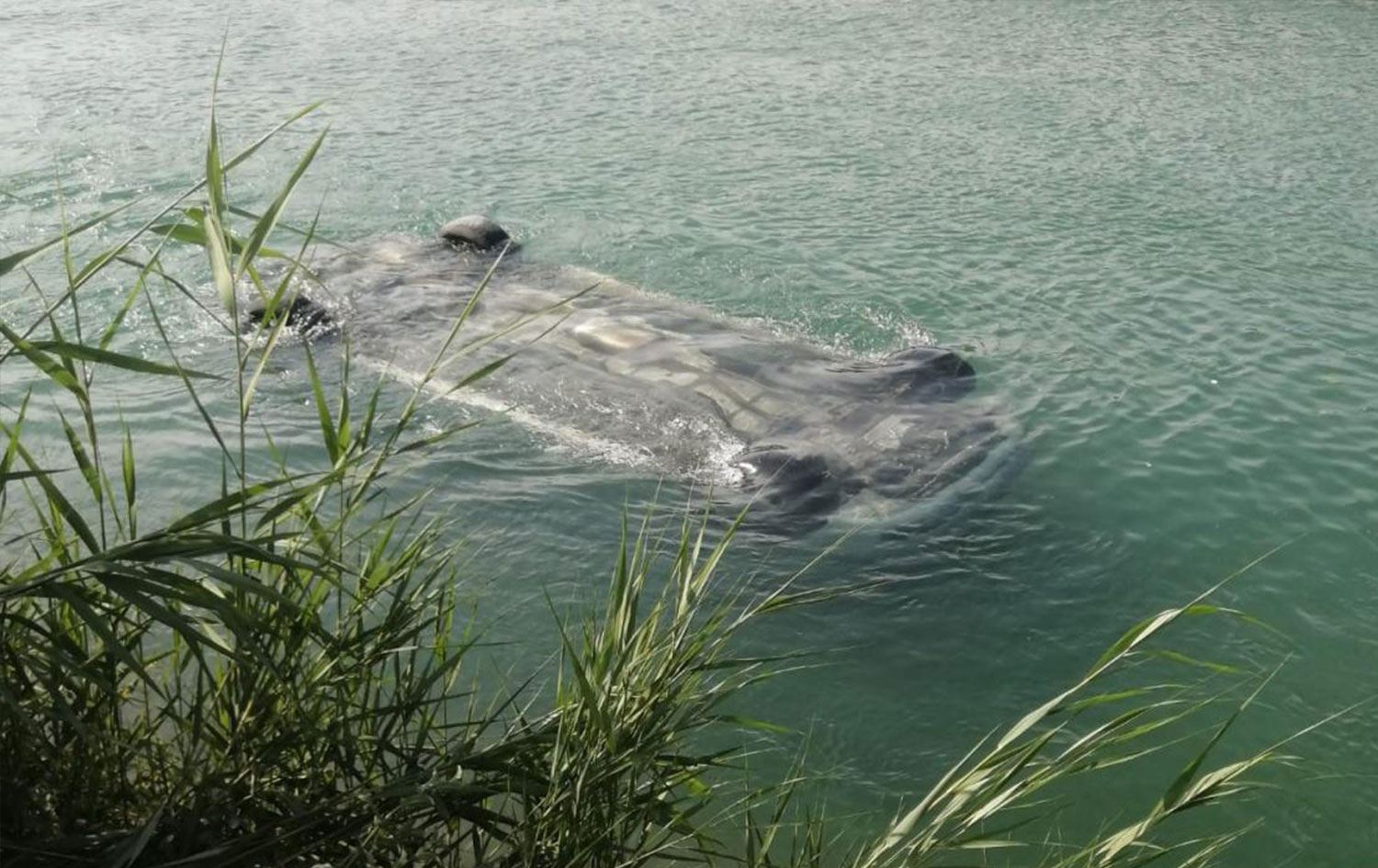 Adana'da panelvan sulama kanalına devrildi: 3 kişi hayatını kaybetti