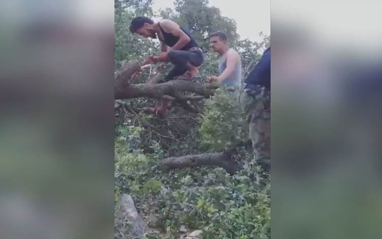 Efrîn: Çekdarên el-Hemzat 1400 darên hinaran birrîn