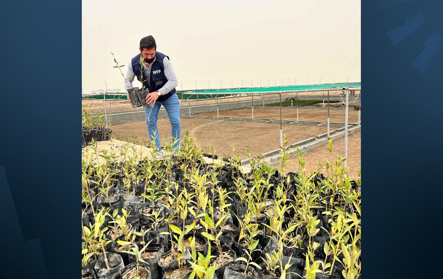 لە رۆژی فرەچەشنیی زیندەییدا لە بەسرە نەمامگەیەکی مانگرۆڤ بۆ رووبەڕووبوونەوەی گۆڕانی کەشوهەوا کرایەوە