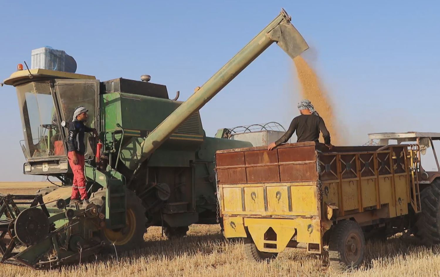 Li Hesekê dirûna genim dest pê kir