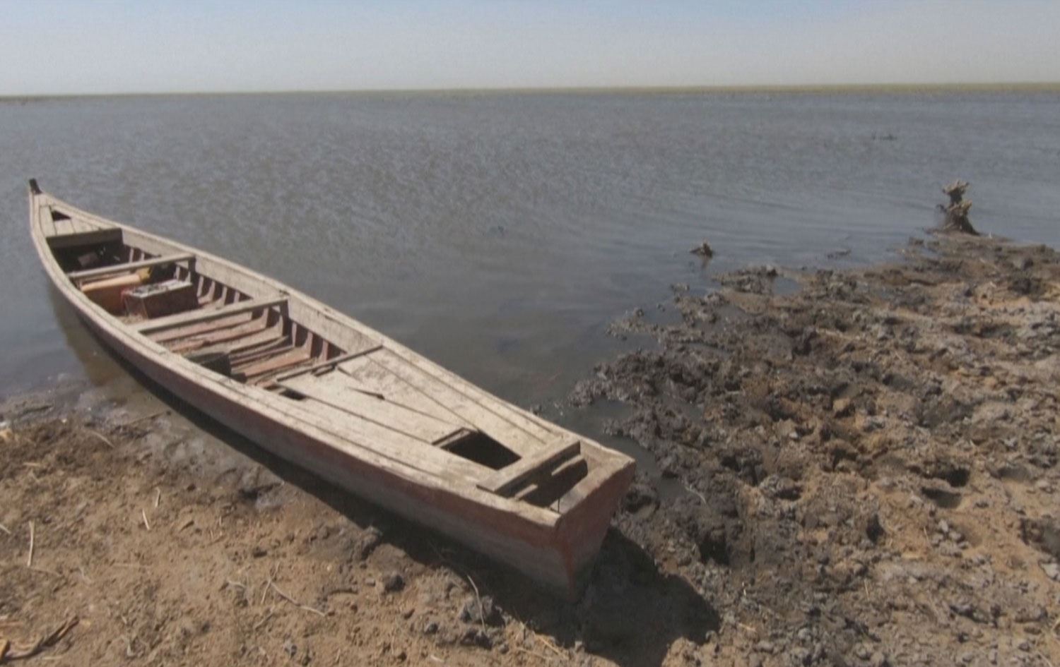 کەمی بەردانەی ئاو و کاردانەوەی لەسەر بەرهەمهێنانی برنجی عەنبەر 