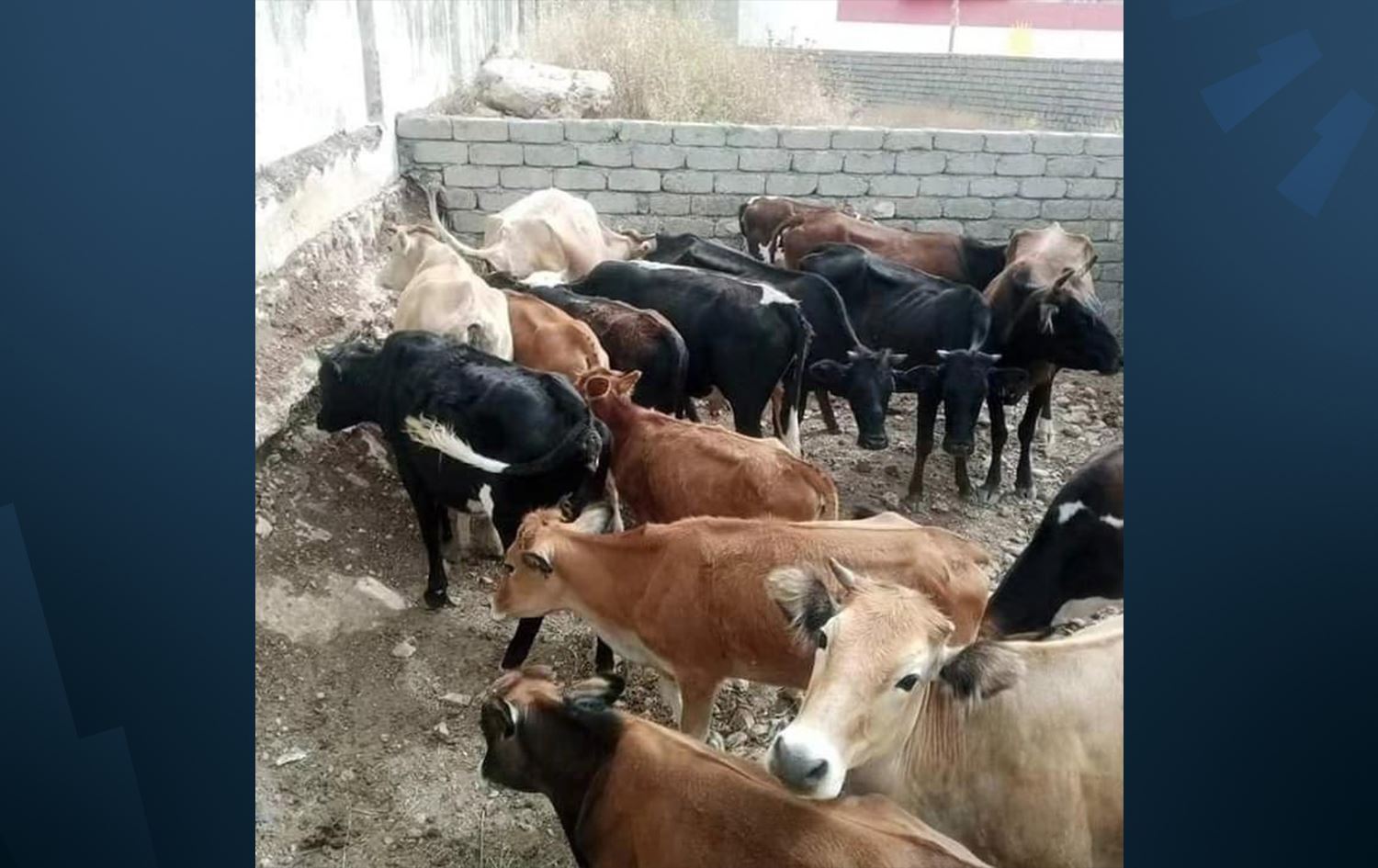 Foto: Video Alıntısı / Rûdaw