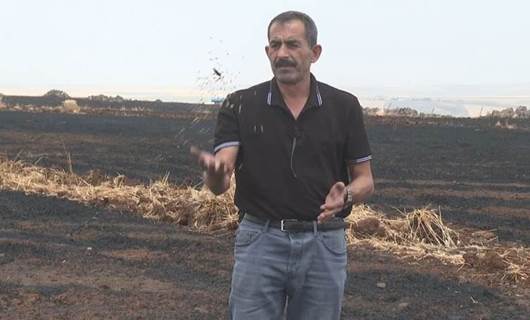 DİYARBAKIR- Kopan elektrik teli nedeniyle 200 dönüm buğday tarlası yandı