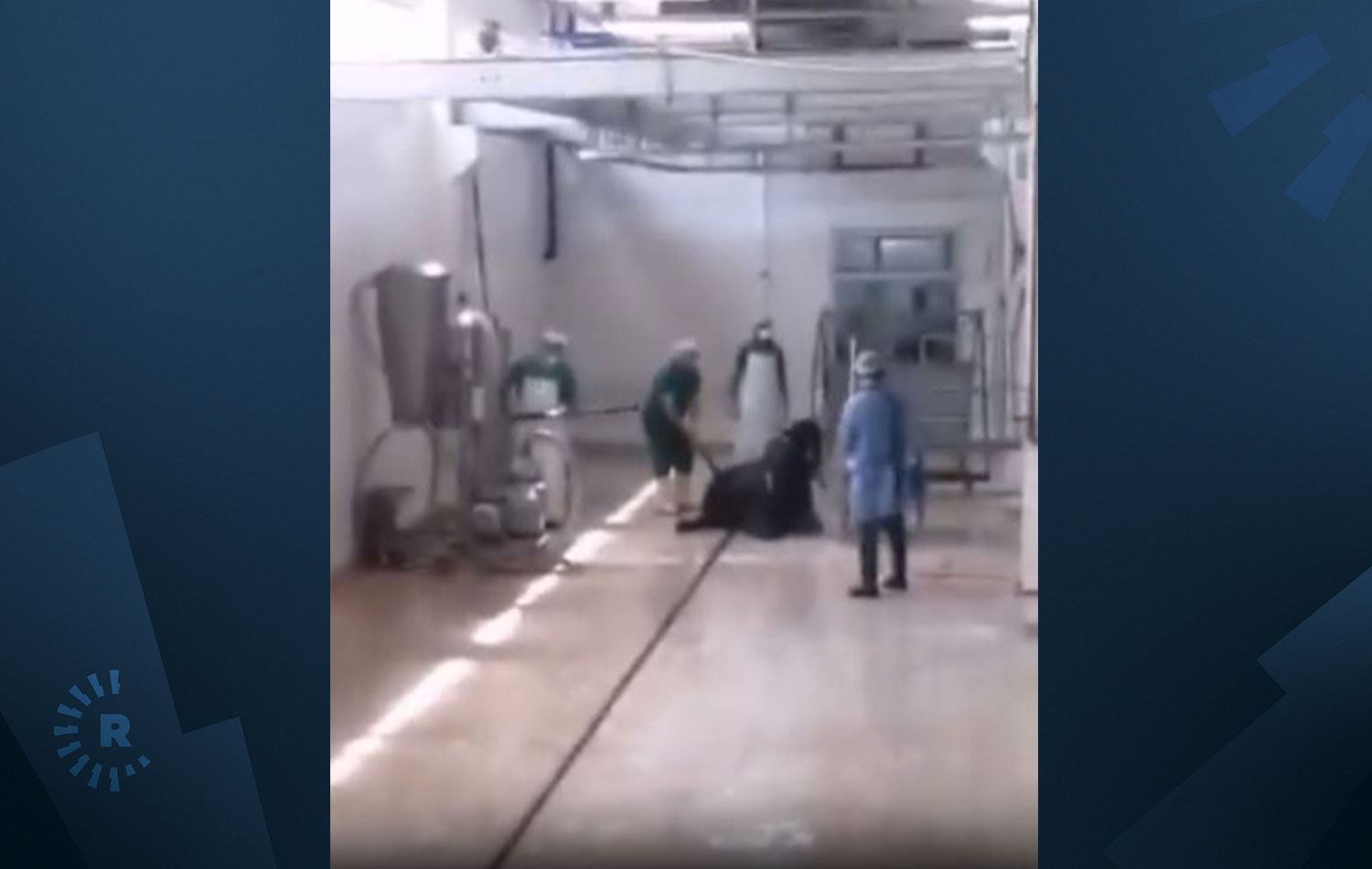 Video alıntısı / Sosyal medya