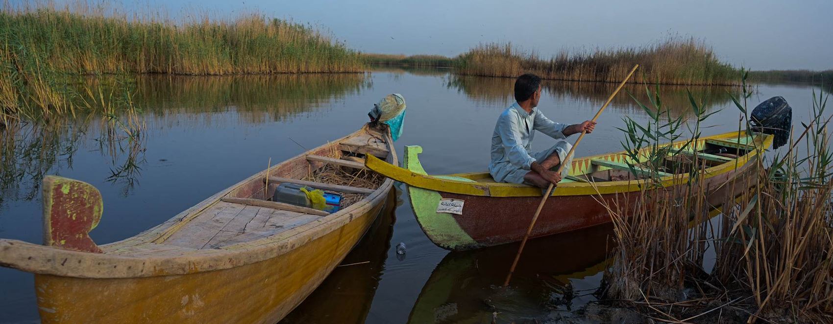 صور.. هور الحمار طبيعة ساحرة وبيئة فريدة في ذي قار