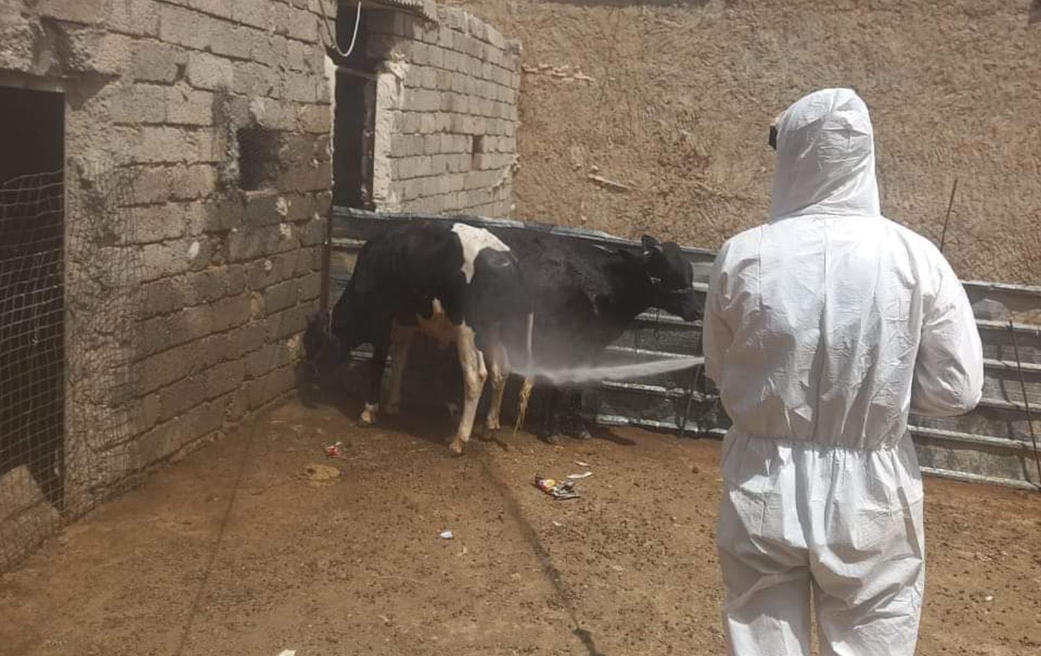 اجراءات صارمة في نينوى عقب وفاة شخص واصابة امرأتين بالحمى النزفية