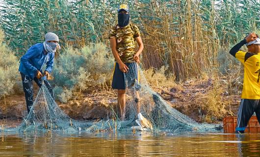 صور.. مئات الصيادين في هور الحمّار بذي قار بلا عمل بسبب الجفاف