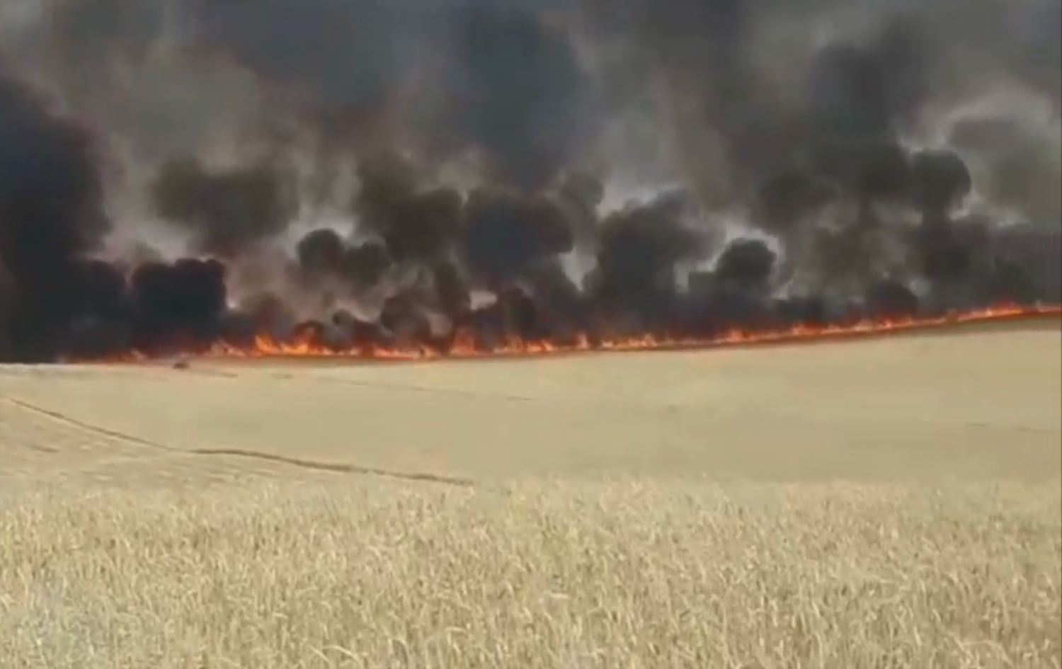 Li Kobaniyê zêdetirî 30 hektar zeviyên genim şewitîn