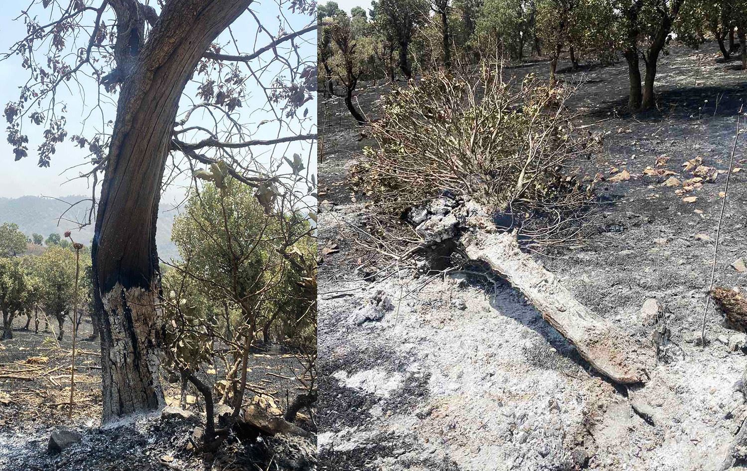 ئاگرەکەی شارباژێڕ کۆنترۆڵ نەکراوە