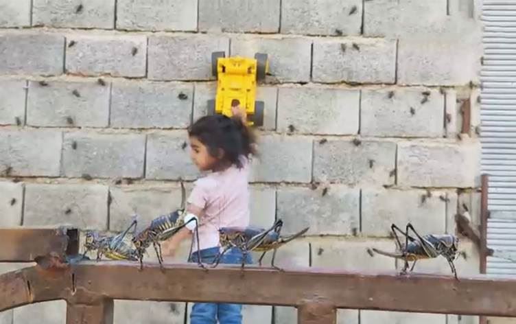 Kuliyan êrîşî navçeyeke Rojhilatê Kurdistanê kirine; her der tijî kulî bûne