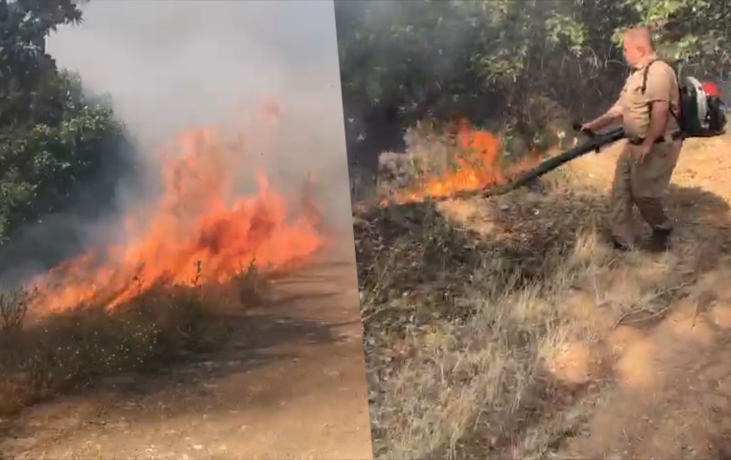 ئاگرەکەی شارباژێڕ جارێکی دیکە تەشەنەی سەندەوە و 'چەند کەسێک دەستگیرکراون'