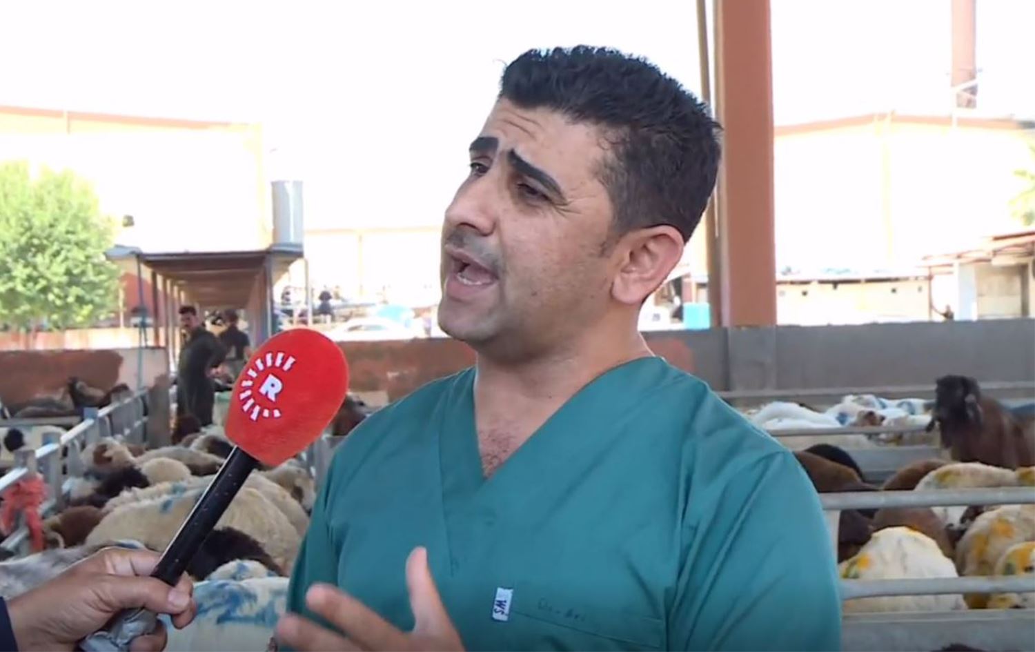 دکتۆر تاریق عەلی، پزیشکی ڤێتێرنەری. وێنە: رووداو