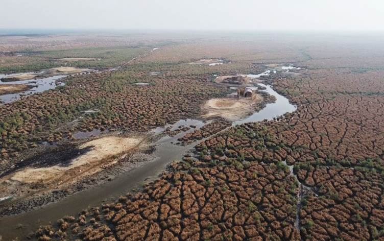 التغيّر المناخي يهدّد الثروة الحيوانية في أكبر أهوار العراق