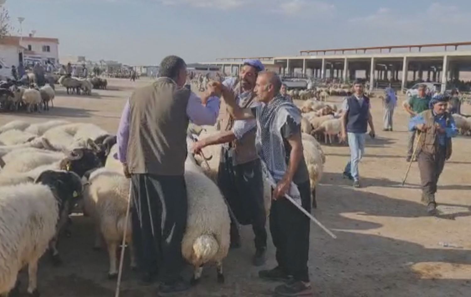 Li Rihayê îsal bazara qurbanan sist e