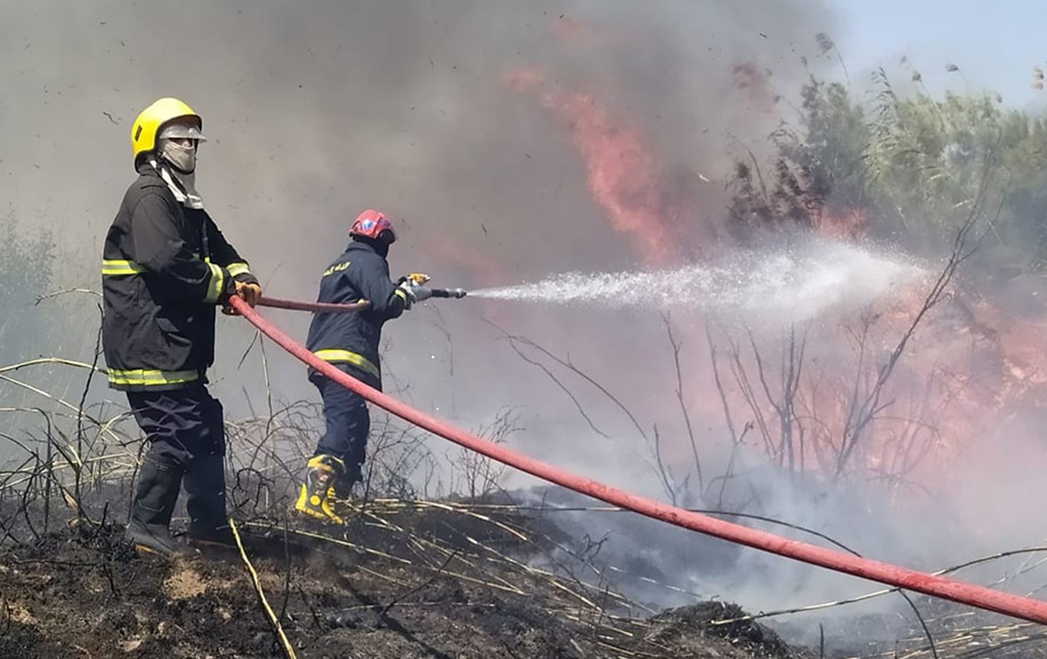 أكثر من 10 آلاف حريق منذ بداية 2023 بانخفاض 20% عن 2022