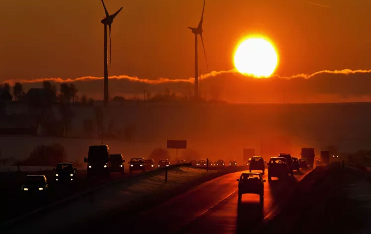 Foto: Håkan Jansson/Alamy