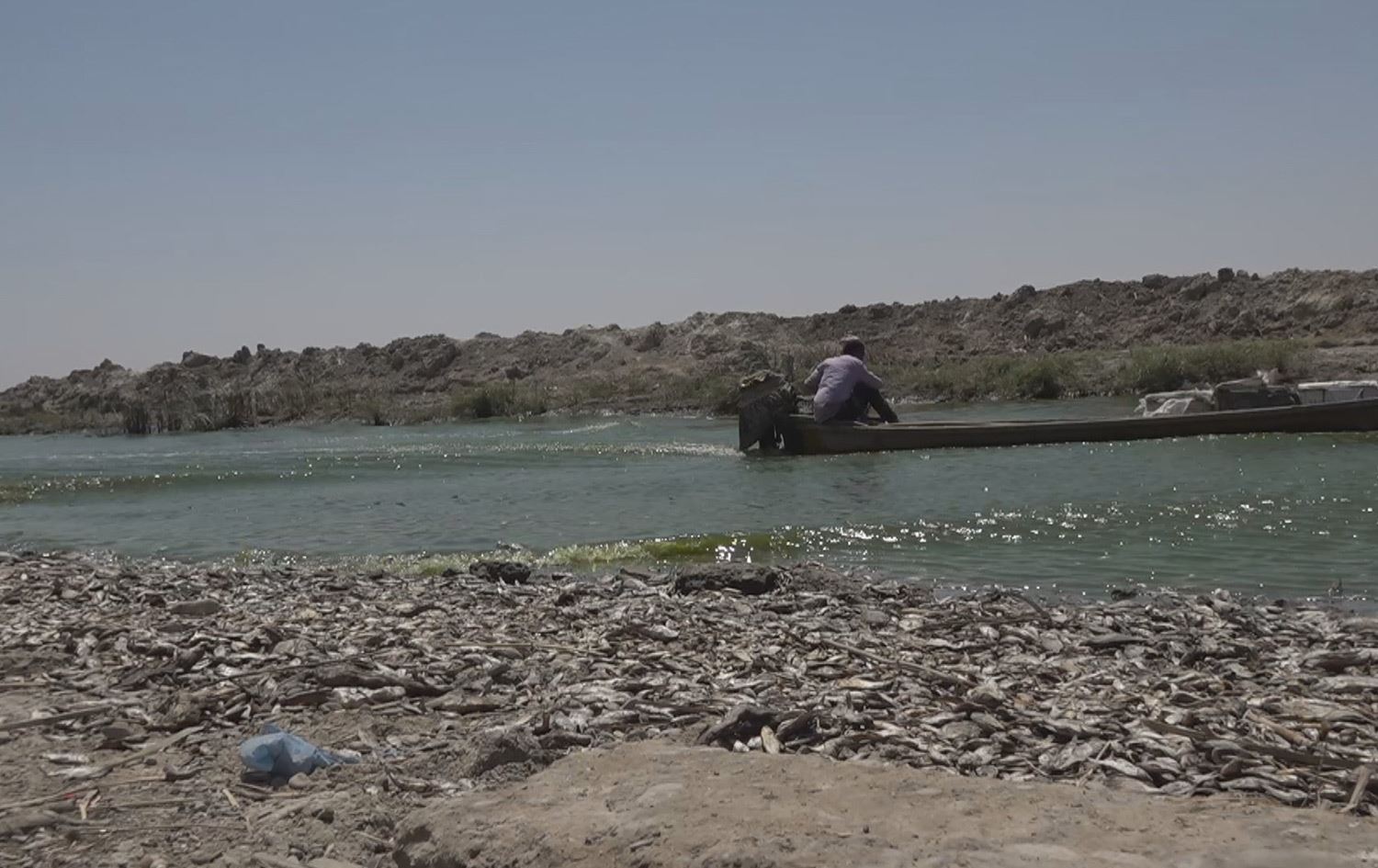 لەنێوچوونی ماسی لە میسان