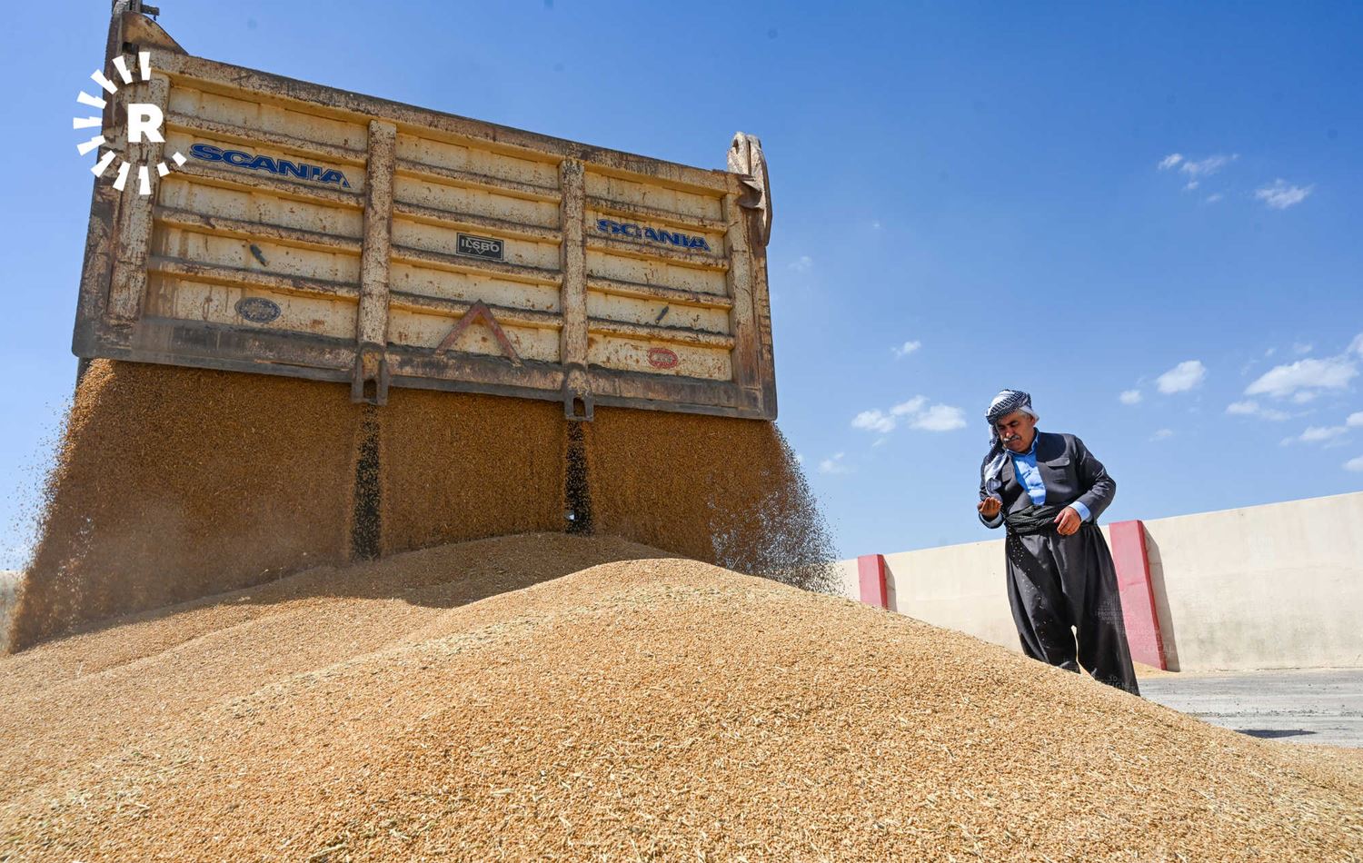 العراق يحقق أكبر رقم بتسويق الحنطة في تاريخه