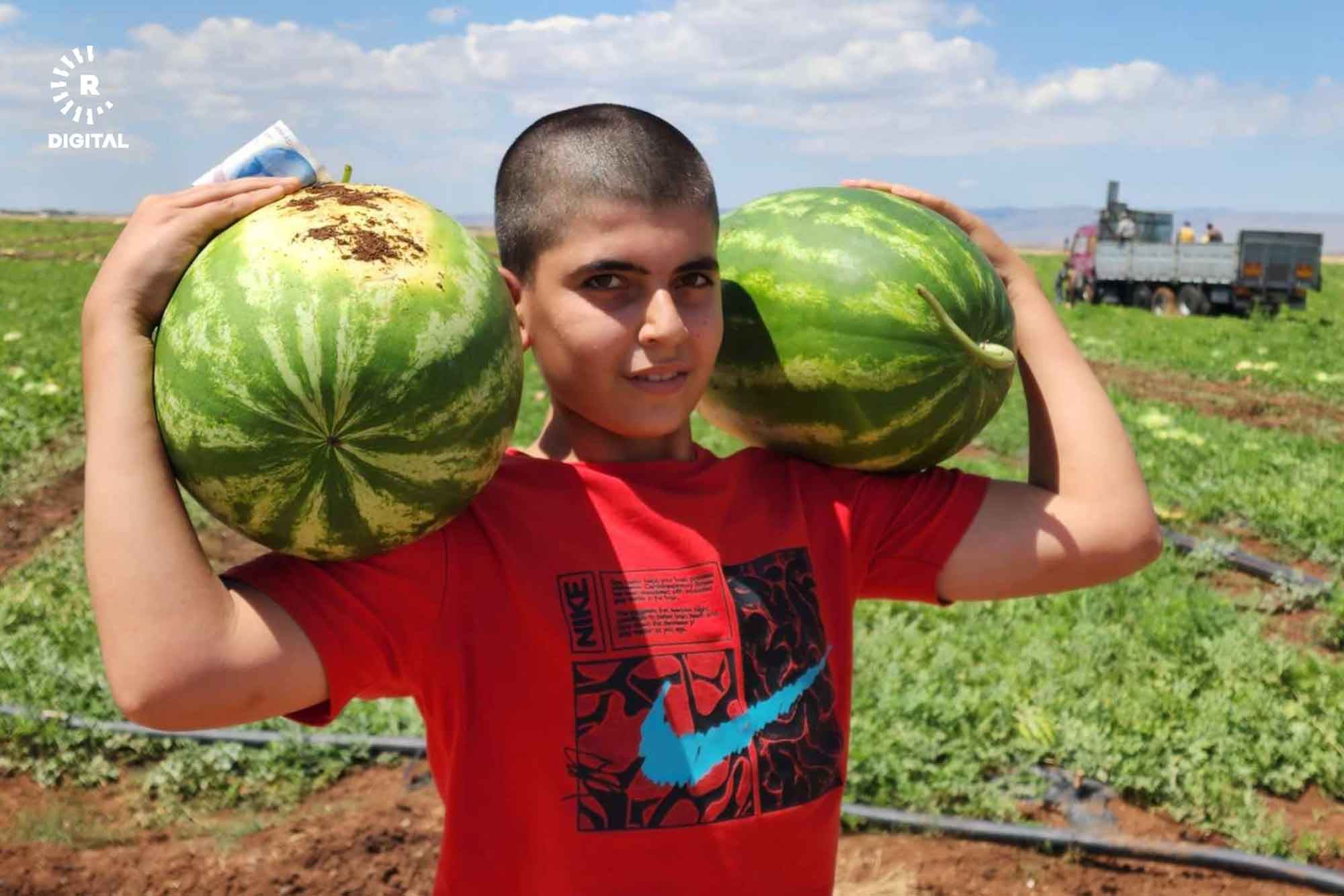 Wêne: Abdulselam Akinci/Rûdaw