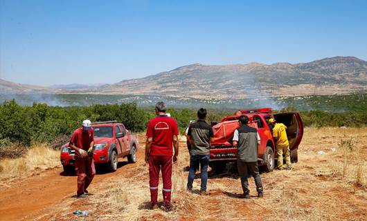 Diyarbakır'da iki günde 25 hektar arazi yandı