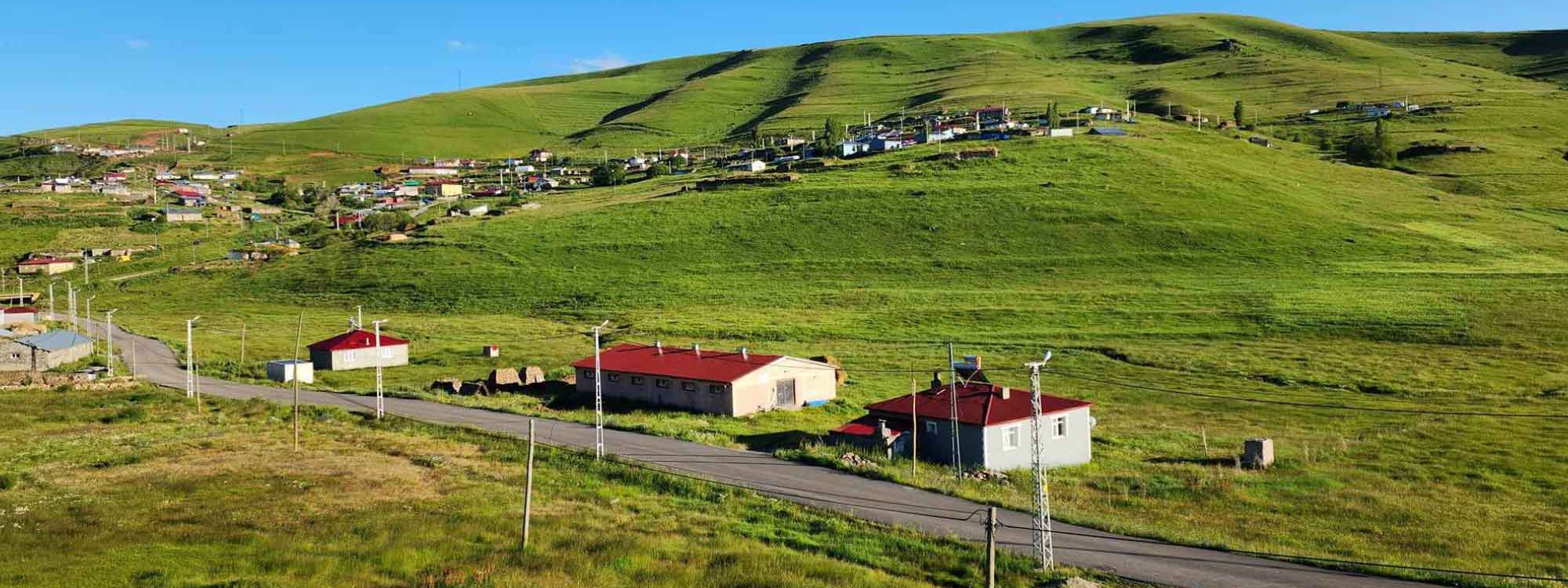 WÊNE -  Zozanên Gundika li Erdexanê