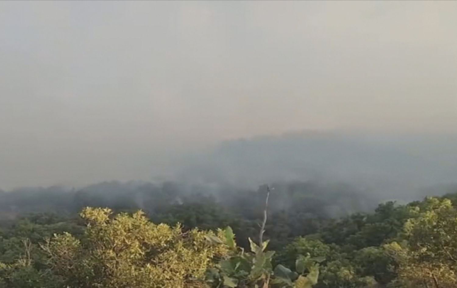 دوو رۆژە دارستانەکانی مەریوان لە پێنج لاوە دەسووتێن