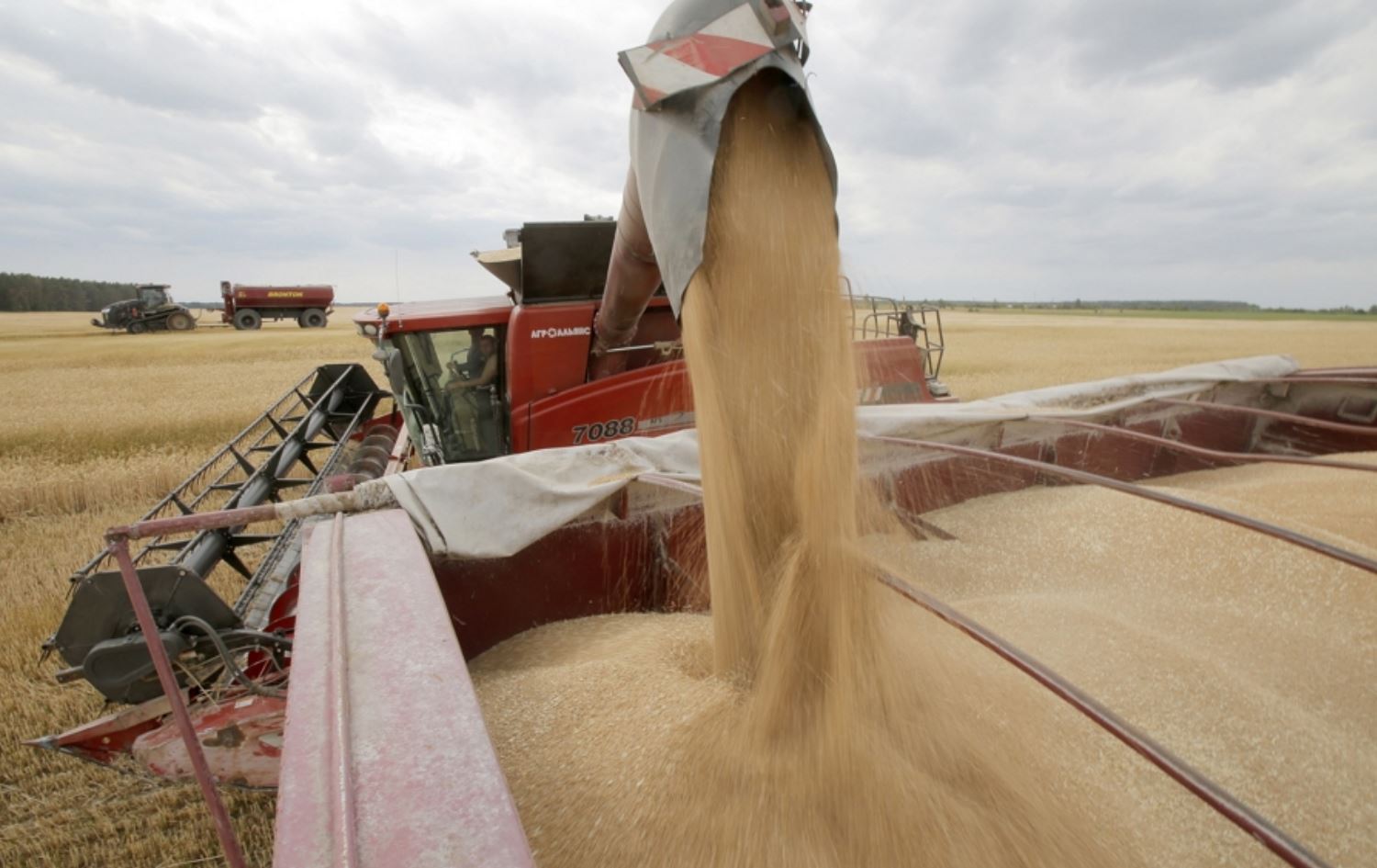 رووسیا بە پێنج مەرج ئامادەیە رێککەوتنی هەناردەی دانەوێڵە نوێبکاتەوە