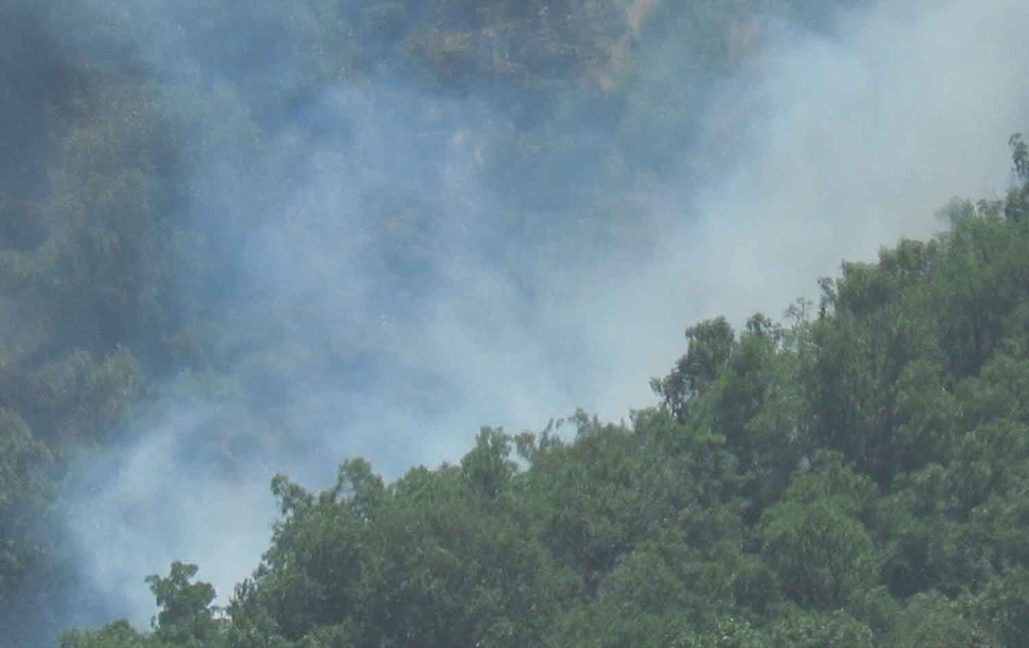 250 هێکتار دارستان و لەوەڕگە لە پارێزگای لوڕستان سووتا