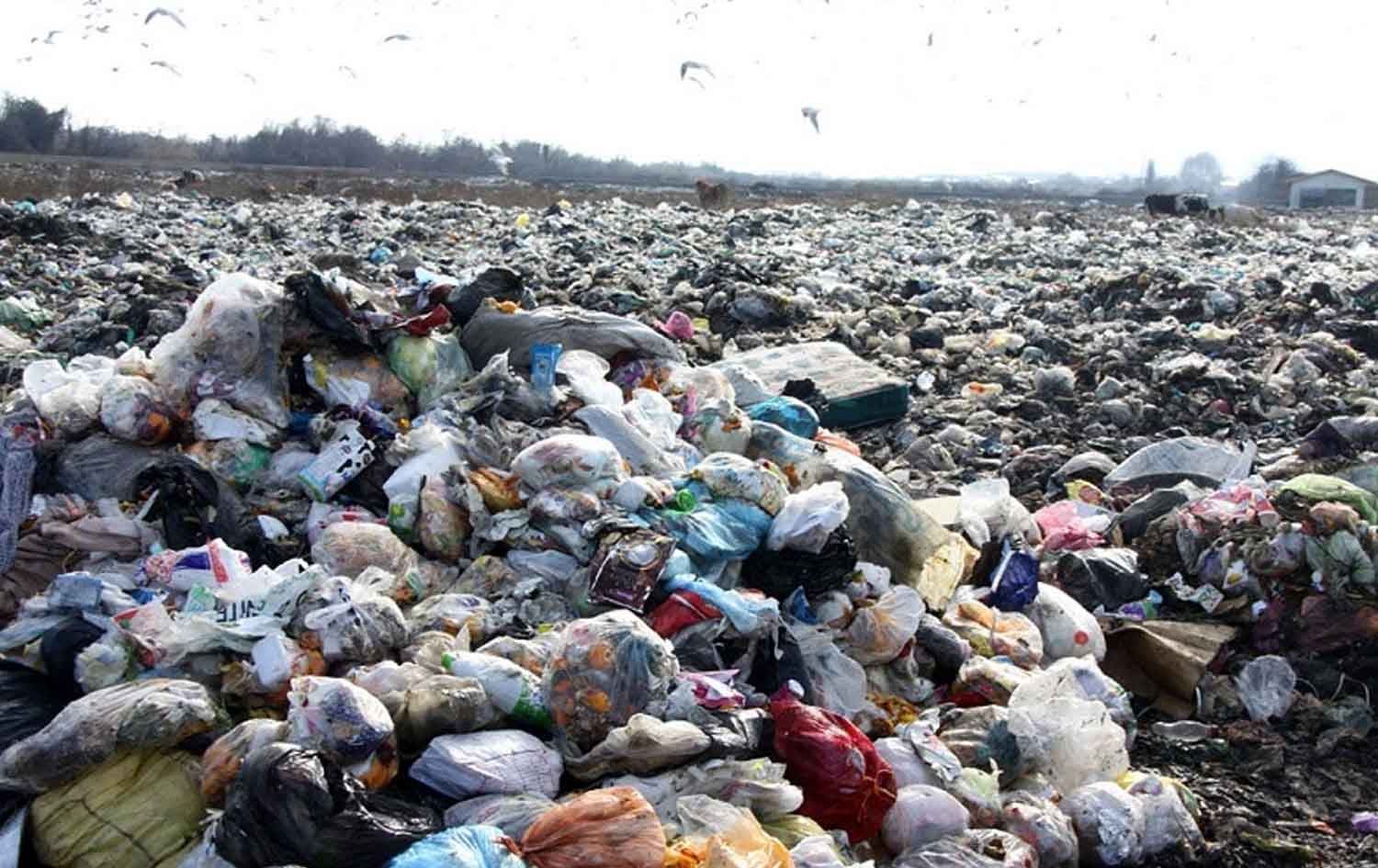 Li Urmiyê rojane 2 hezar û 800 ton gilêş tê binaxkirin